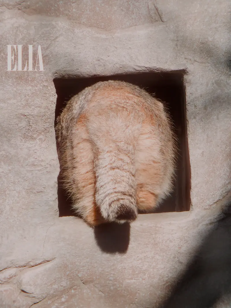 Фотография Олафа в Зоопарке Калгари / Институте Уайлдере