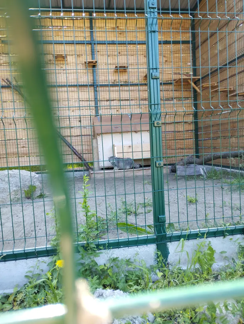 Фотография Чипа в Барнаульском Зоопарке «Лесная сказка»