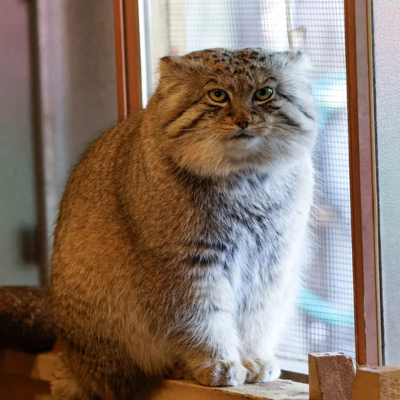 Фотография Лотоса в Детском зоопарке Сайтама