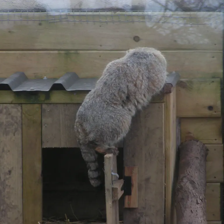 Фотография Алтая в Лэйклэнде Вайлдлайф Оазисе