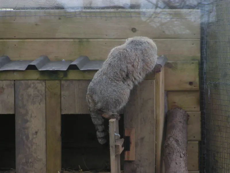 Фотография Алтая в Лэйклэнде Вайлдлайф Оазисе