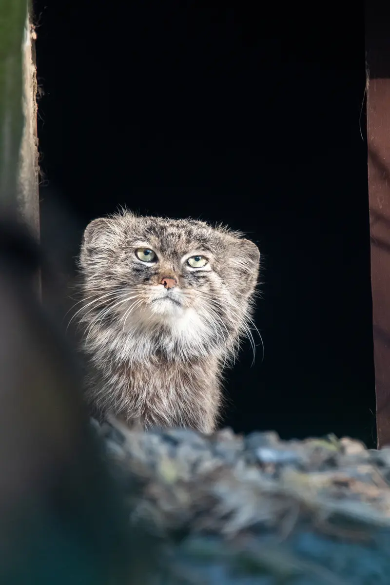 Фотография Плутона в Остравском Зоопарке
