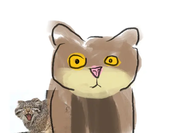 Фотография с манулом