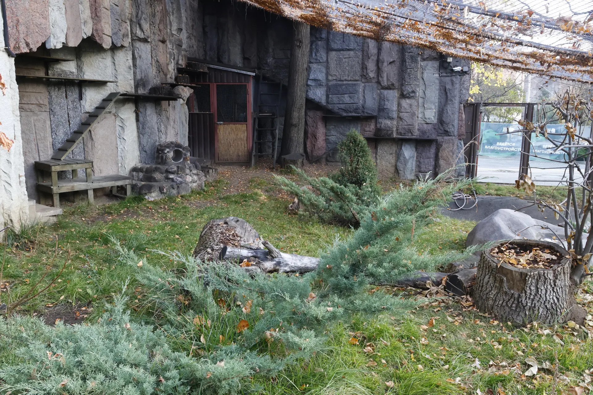 lcOxfGnUpo9fKME0_mw-1920.webp