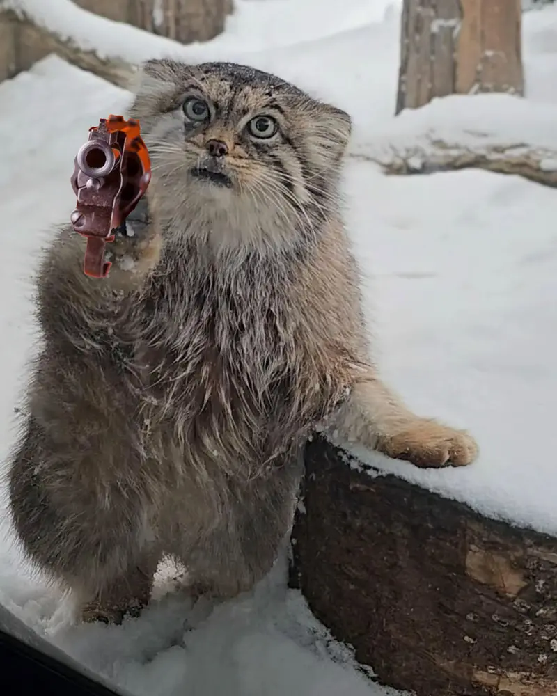 Фотография Полли