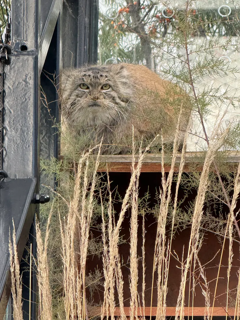 Фотография Спая в Пражском Зоопарке