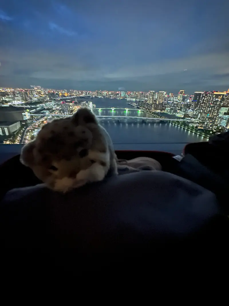 Фотография с манулом
