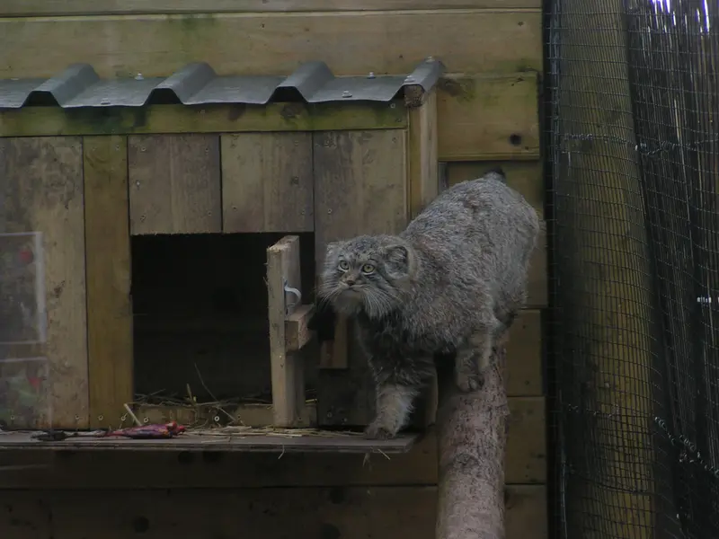 Фотография Алтая в Лэйклэнде Вайлдлайф Оазисе
