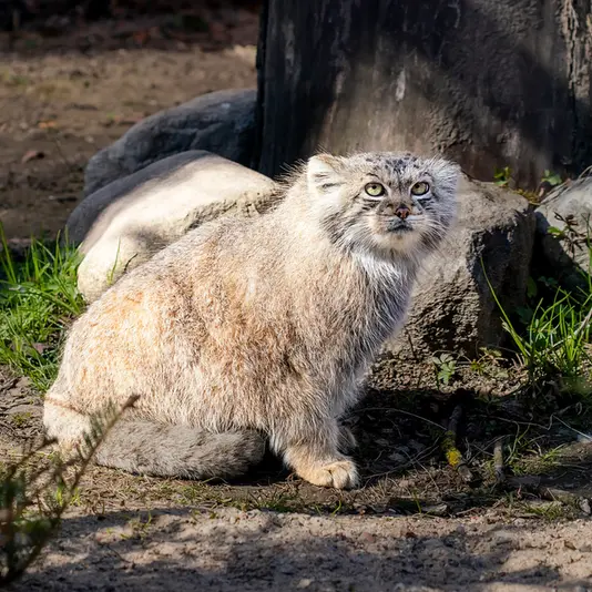 Фотография Мелиссы в Литовском Зоопарке