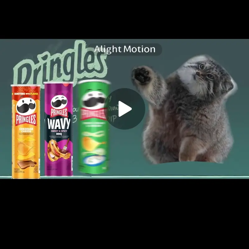 Фотография с манулом
