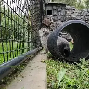 Фотография Фина в Зоопарке Дакоты