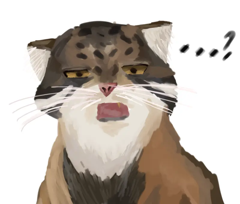 Фотография Хани