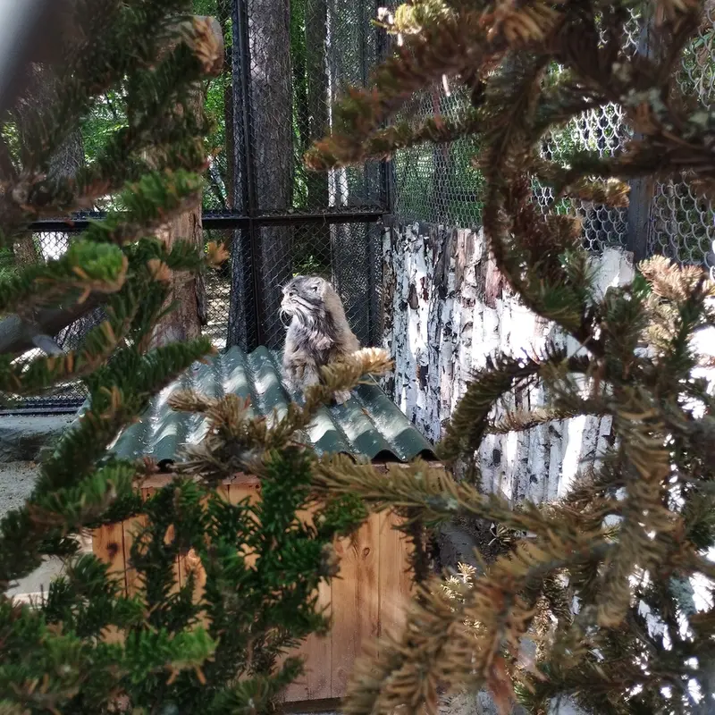 Фотография Зеленогорска в Новосибирском Зоопарке