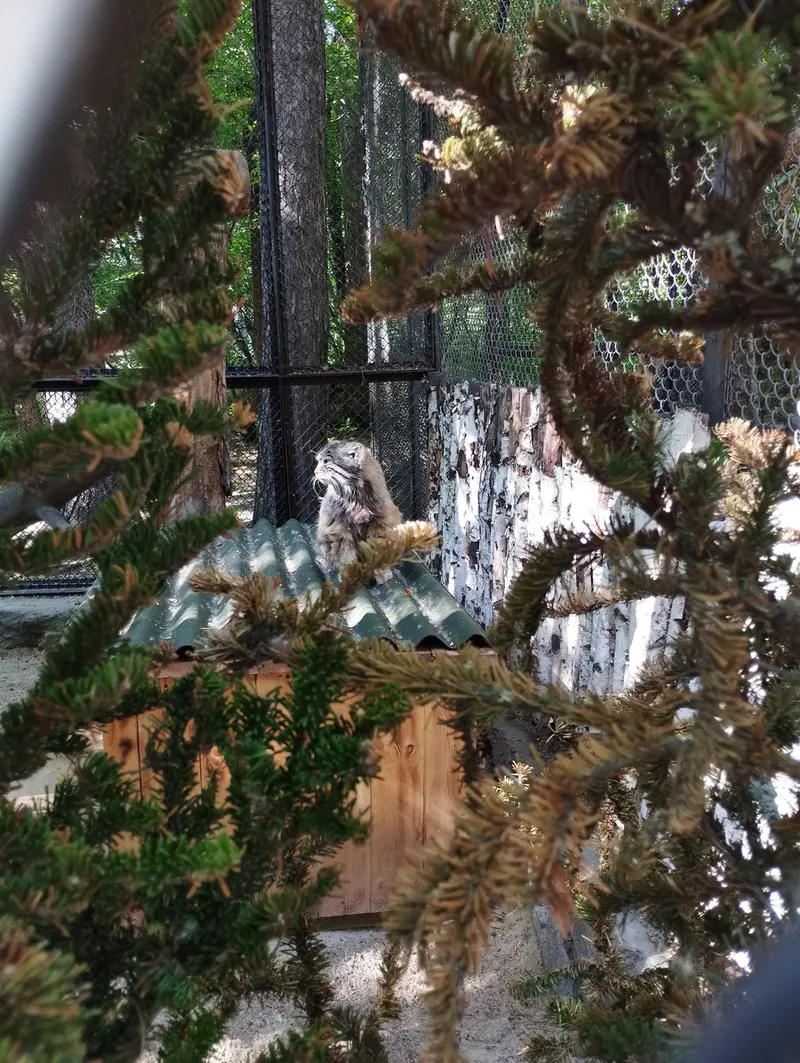 Фотография Зеленогорска в Новосибирском Зоопарке