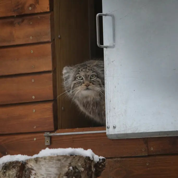 Фотография Улы в Гданском Зоопарке