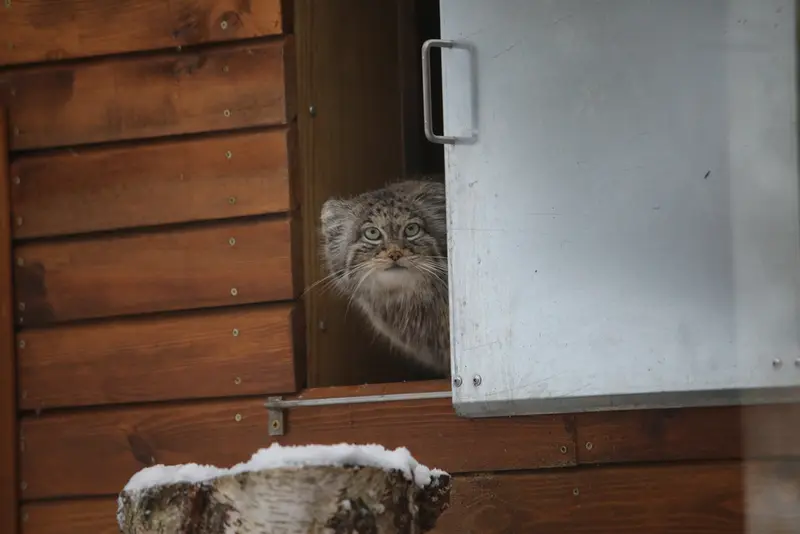 Фотография Улы в Гданском Зоопарке