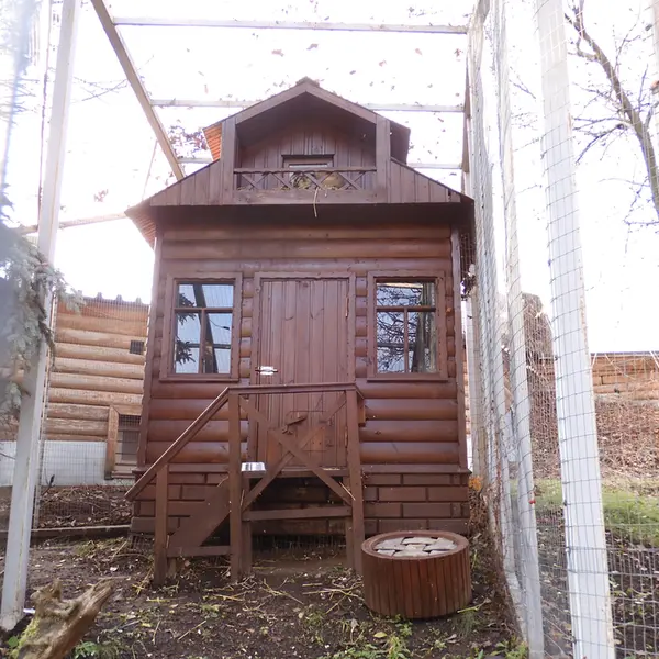 Фотография Алтая в Ижевском Зоопарке