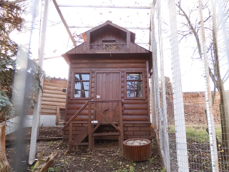 Фотография Алтая в Ижевском Зоопарке