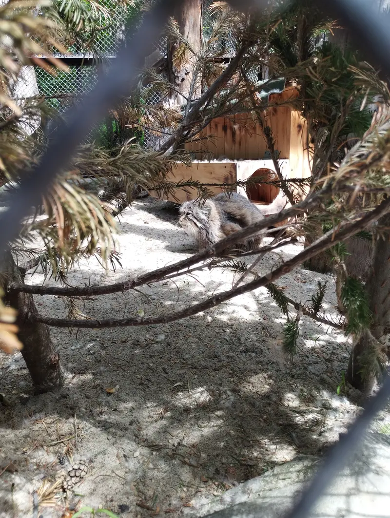 Фотография Зеленогорска в Новосибирском Зоопарке