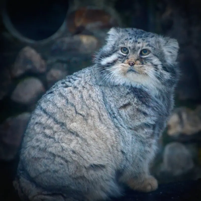 Фотография Вадима в Московском Зоопарке