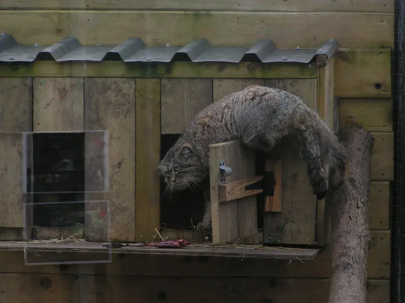 Фотография Алтая в Лэйклэнде Вайлдлайф Оазисе