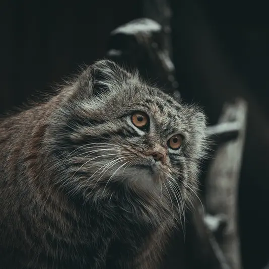 Фотография Марса в Таллинском Зоопарке