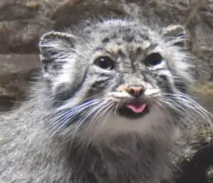 Фотография Юс