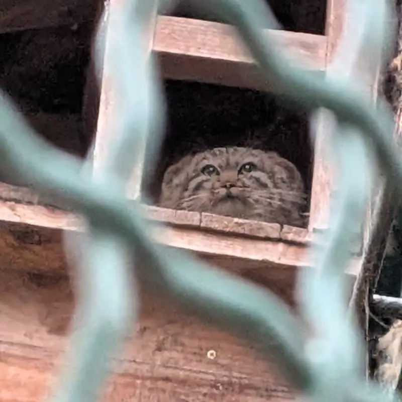 Фотография Люси в Будапештском Зоопарке