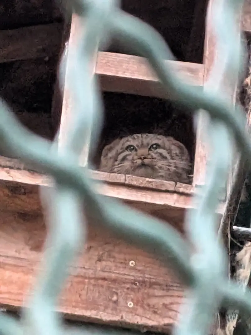 Фотография Люси в Будапештском Зоопарке