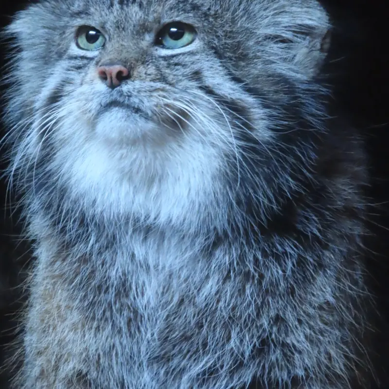 Фотография Клёна в Зоопарке Уено