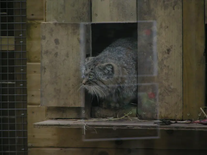 Фотография Алтая в Лэйклэнде Вайлдлайф Оазисе