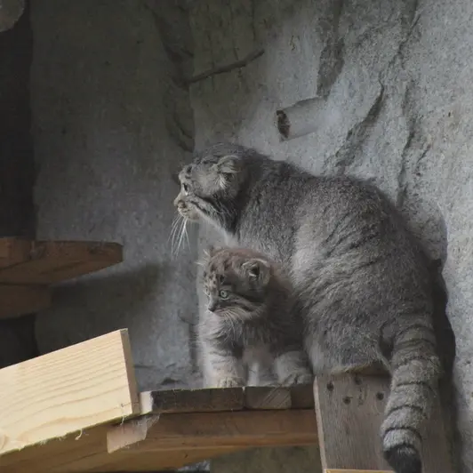 Фотография Варвары и Дарлая в Московском Зоопарке