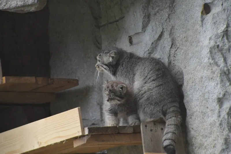 Фотография Варвары и Дарлая в Московском Зоопарке