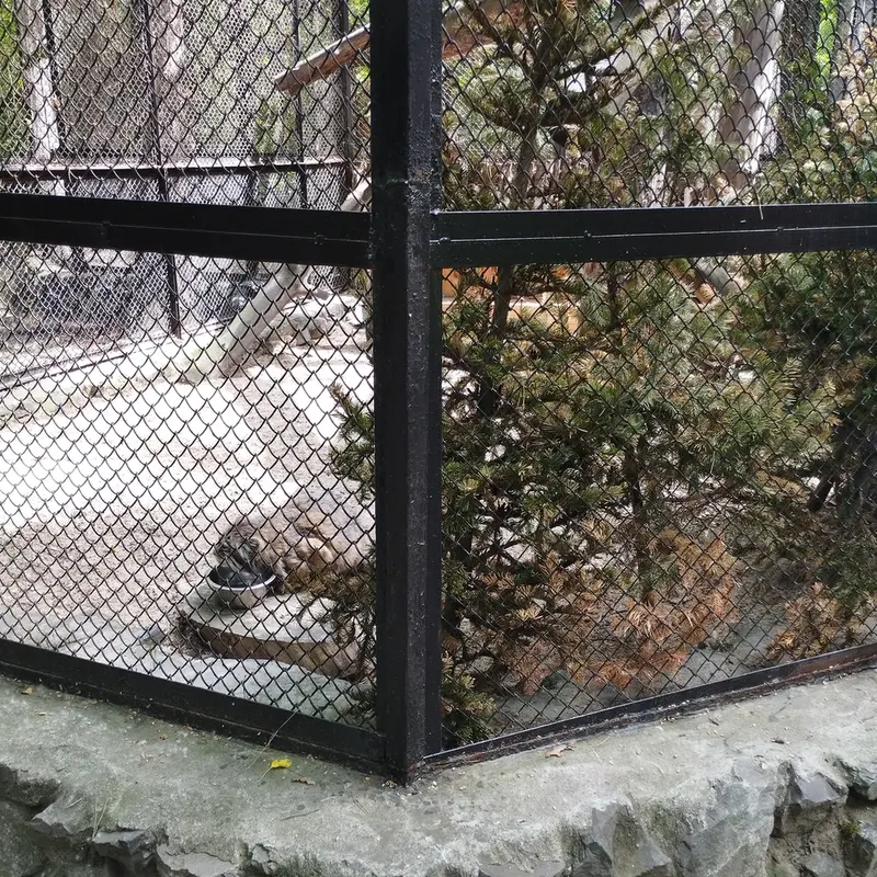 Фотография Зеленогорска в Новосибирском Зоопарке