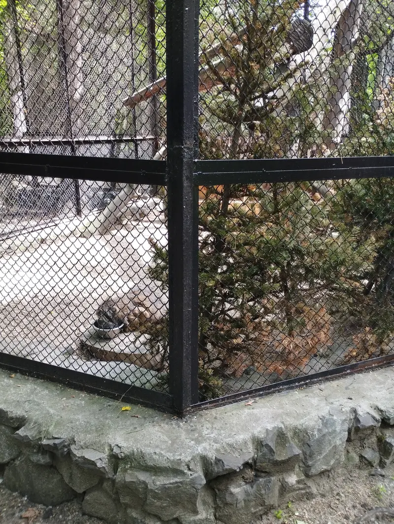 Фотография Зеленогорска в Новосибирском Зоопарке