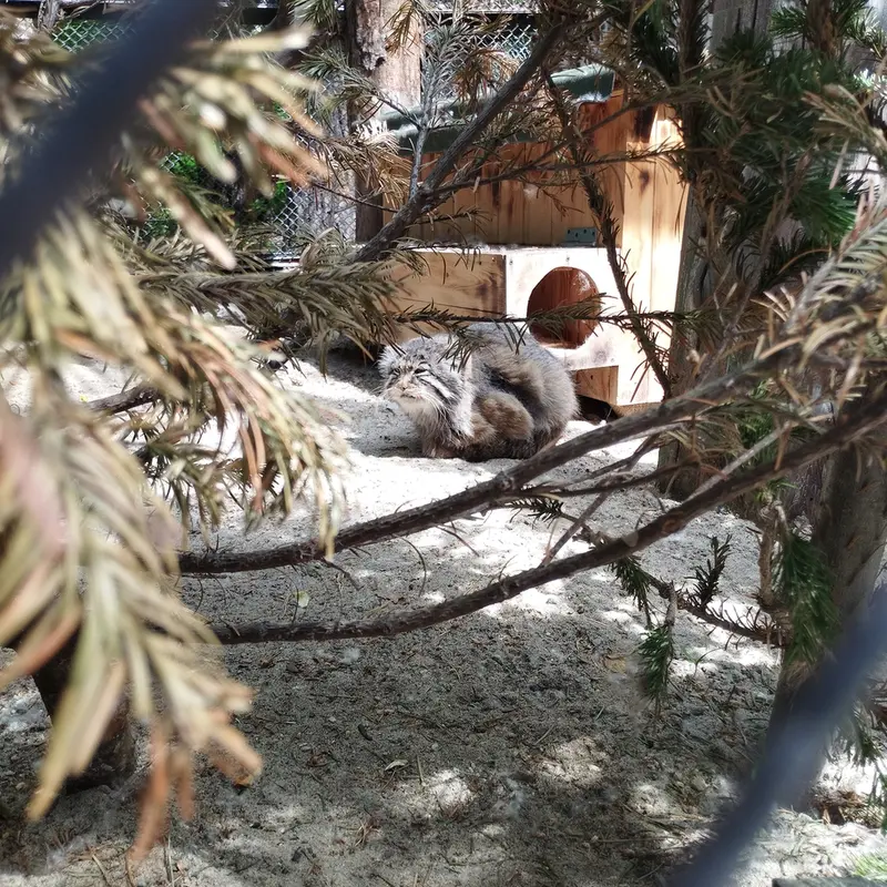 Фотография Зеленогорска в Новосибирском Зоопарке