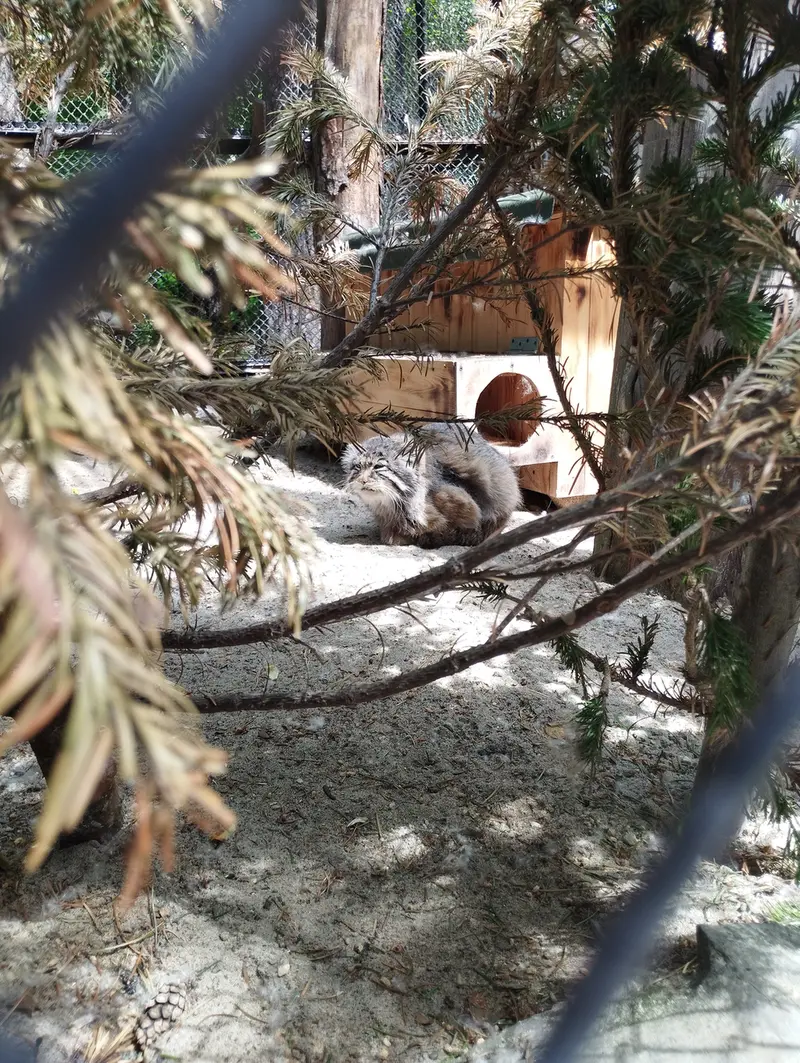 Фотография Зеленогорска в Новосибирском Зоопарке