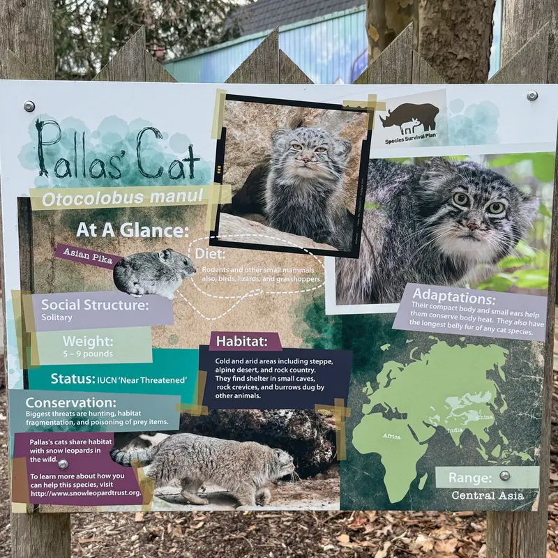 Фотография Пази в Зоопарке Поттер-парка