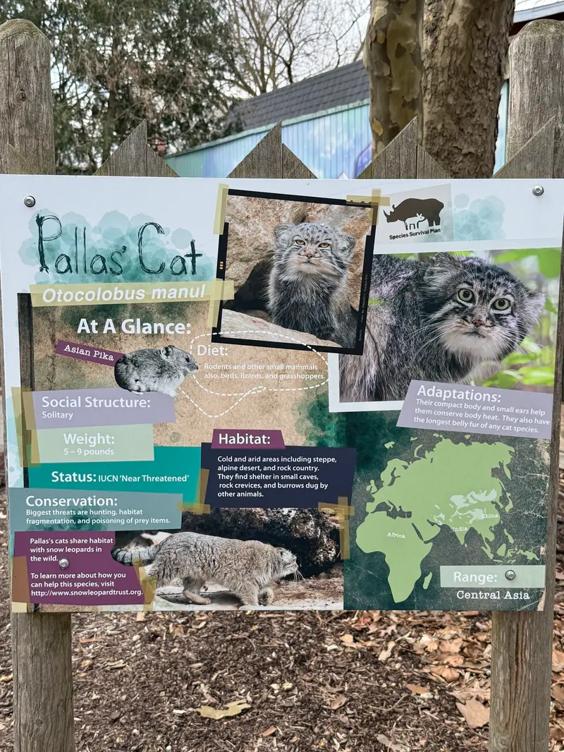 Фотография Пази в Зоопарке Поттер-парка