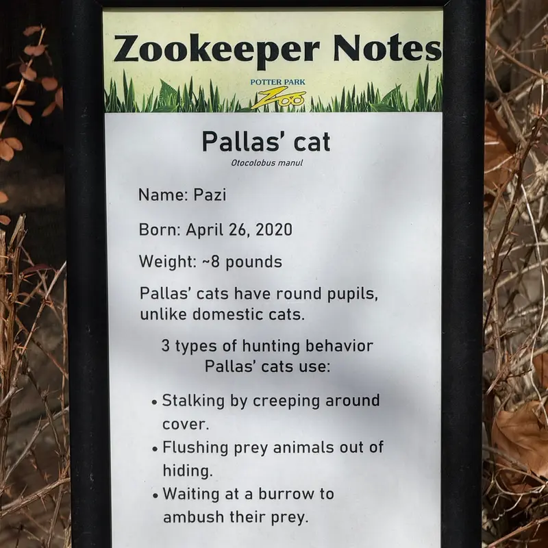 Фотография Пази в Зоопарке Поттер-парка