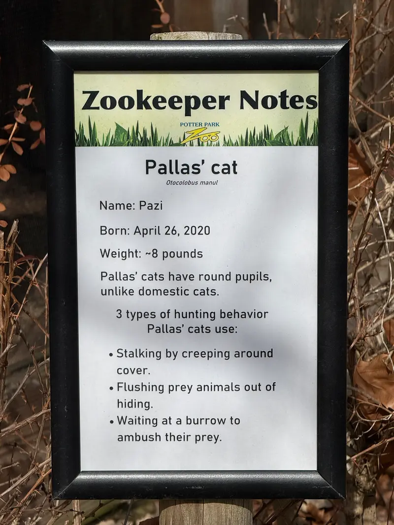 Фотография Пази в Зоопарке Поттер-парка