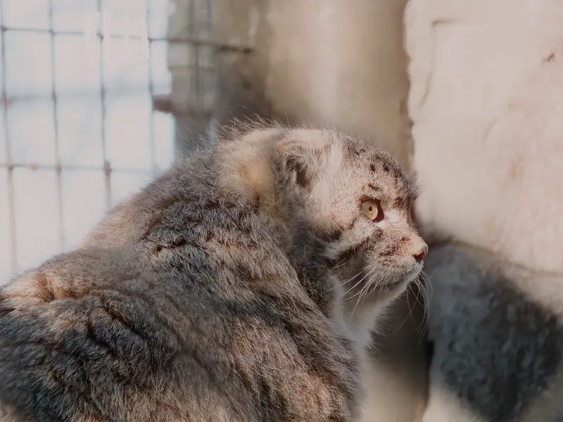 Фотография Олафа в Зоопарке Калгари / Институте Уайлдере