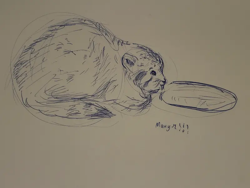 Фотография с манулом