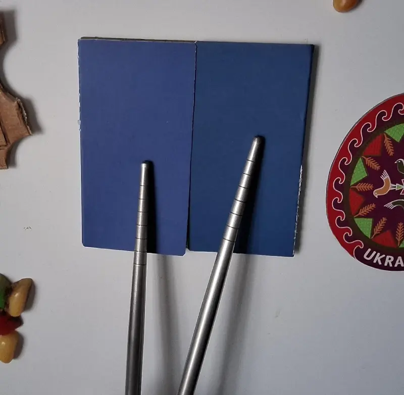 Фотография с манулом