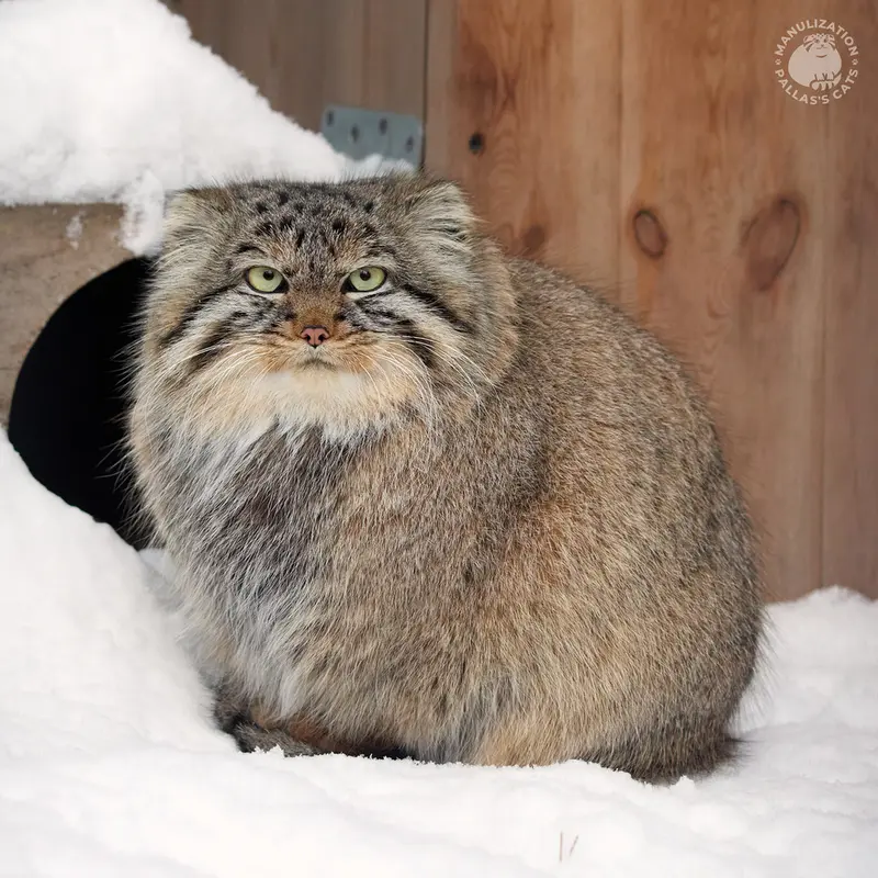 Фотография Габи в Новосибирском Зоопарке