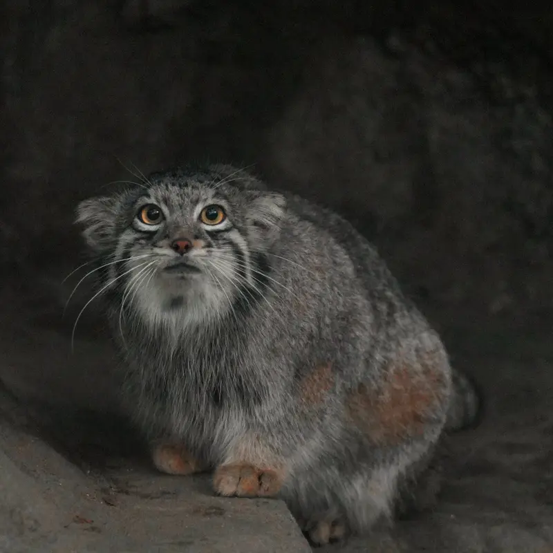 Фотография Ото в Царстве Животных Кобе