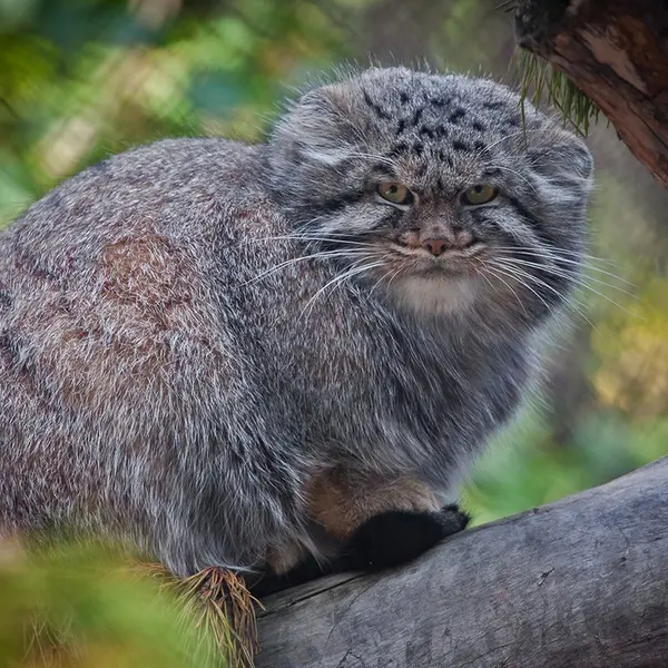 Фотография Димы в Новосибирском Зоопарке