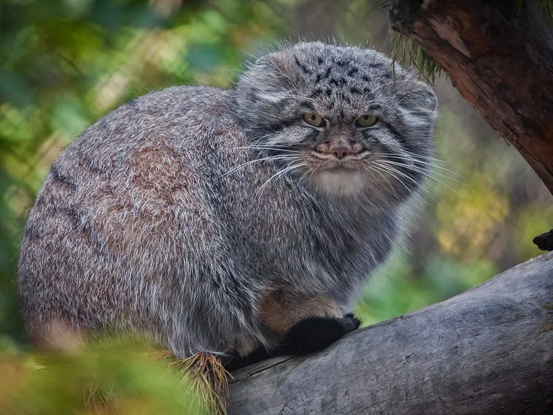 Фотография Димы в Новосибирском Зоопарке