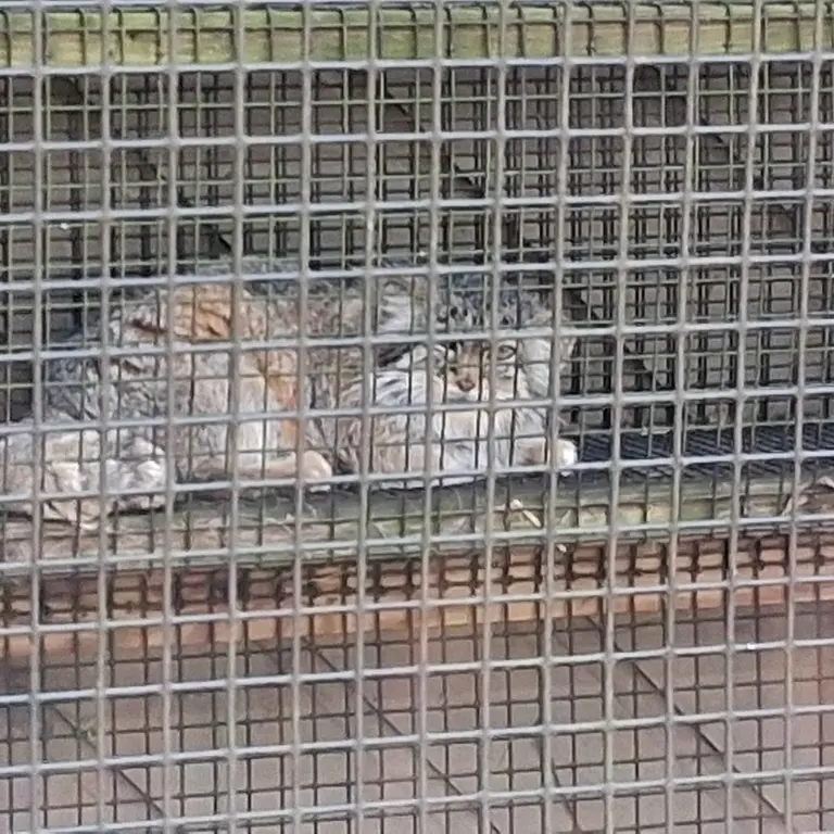 Фотография Нозоми в Миллер Парке