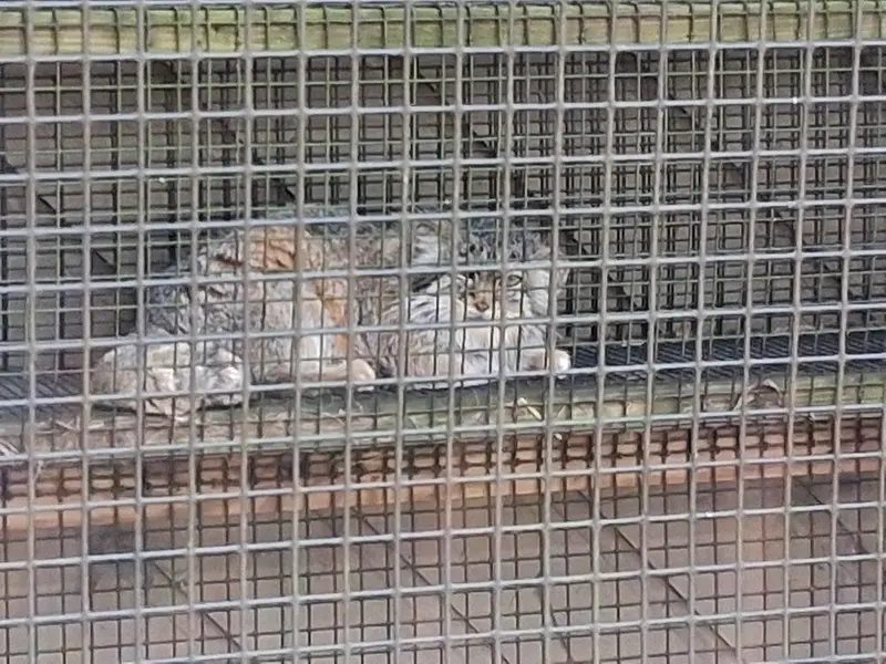 Фотография Нозоми в Миллер Парке